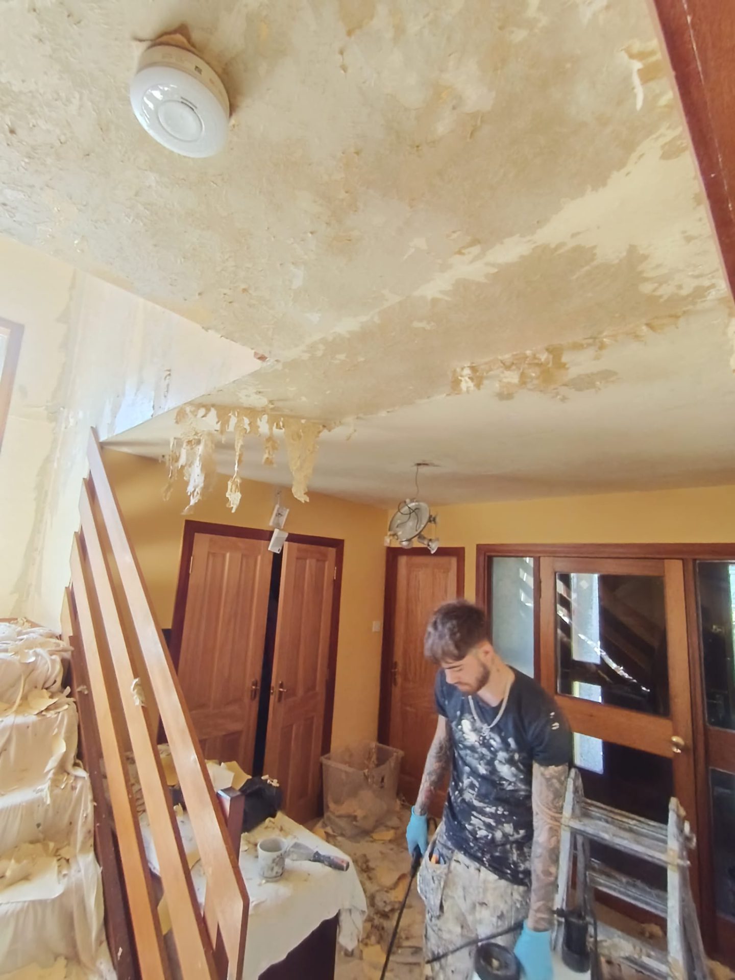 Before image 1
