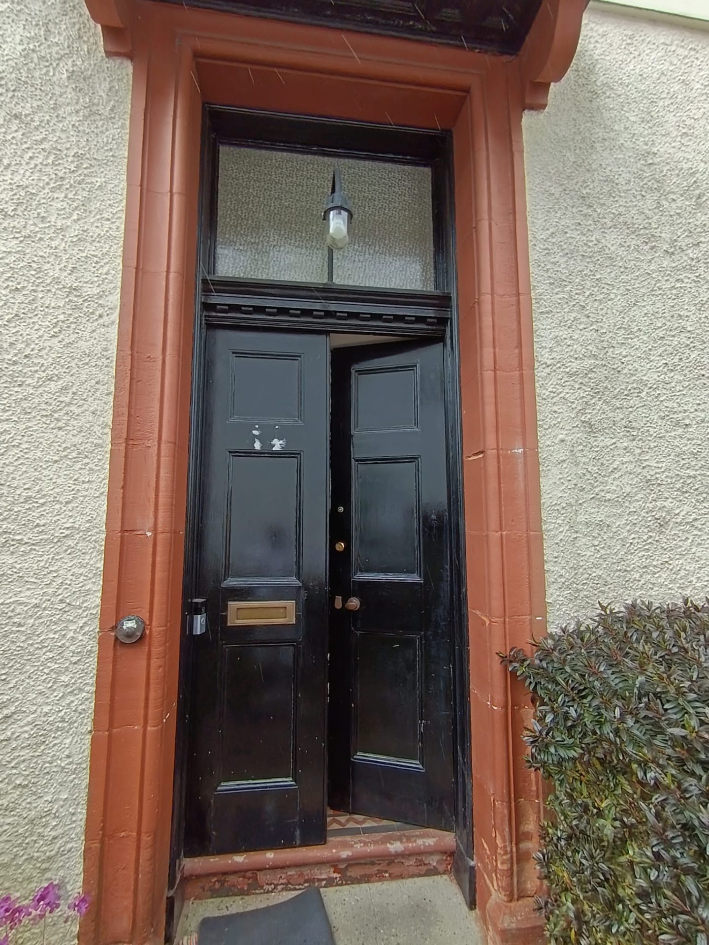 Before image 2